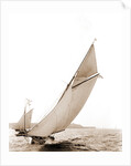 Chispa (Yacht) by Anonymous