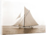 Gulnare (Yacht) by Anonymous