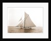 Gulnare (Yacht) by Anonymous