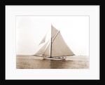 Gulnare (Yacht) by Anonymous