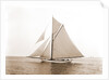 Gulnare (Yacht) by Anonymous