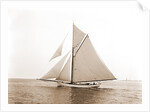 Gulnare (Yacht) by Anonymous