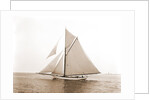 Gulnare (Yacht) by Anonymous