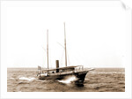 Nydia (Steam yacht), 1892 by Anonymous