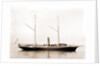 Nydia (Steam yacht), 1892 by Anonymous