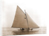 Tadpole (Yacht) by Anonymous
