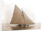Tadpole (Yacht) by Anonymous