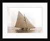 Tadpole (Yacht) by Anonymous