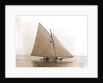 Tadpole (Yacht) by Anonymous