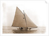 Tadpole (Yacht) by Anonymous