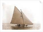 Tadpole (Yacht) by Anonymous