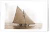 Tadpole (Yacht) by Anonymous