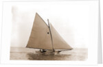 Tadpole (Yacht) by Anonymous