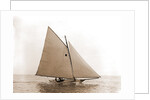 Tadpole (Yacht) by Anonymous