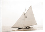 Vanessa Eastern Yacht Club regatta, Vanessa (Yacht) by Anonymous