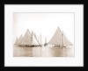 Start, twenty-one footers, Regattas, 1892 by Anonymous