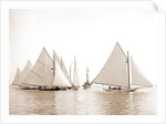 Start, twenty-one footers, Regattas, 1892 by Anonymous