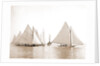 Start, twenty-one footers, Regattas, 1892 by Anonymous