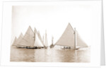 Start, twenty-one footers, Regattas, 1892 by Anonymous