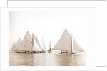 Start, twenty-one footers, Regattas, 1892 by Anonymous