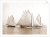 Start, twenty-one footers, Regattas, 1892 by Anonymous