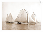 Start, twenty-one footers, Regattas, 1892 by Anonymous