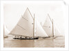 Catspaw, July 29, 1892, Catspaw (Yacht) by Anonymous