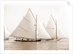 Catspaw, July 29, 1892, Catspaw (Yacht) by Anonymous