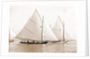 Catspaw, July 29, 1892, Catspaw (Yacht) by Anonymous