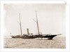 Corsair (Steam yacht), 1892 by Anonymous