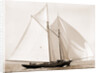 Fortuna (Schooner), 1892 by Anonymous