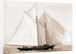 Fortuna (Schooner), 1892 by Anonymous