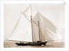 Fortuna (Schooner), 1892 by Anonymous