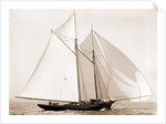 Fortuna (Schooner), 1892 by Anonymous