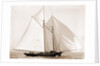Fortuna (Schooner), 1892 by Anonymous