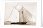 Fortuna (Schooner), 1892 by Anonymous