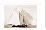 Fortuna (Schooner), 1892 by Anonymous