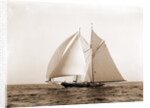 Lasca (Schooner), 1892 by Anonymous