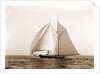 Lasca (Schooner), 1892 by Anonymous