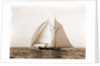 Lasca (Schooner), 1892 by Anonymous