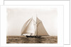 Lasca (Schooner), 1892 by Anonymous