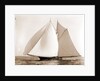 Constellation (Schooner), 1892 by Anonymous