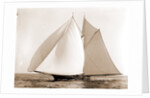 Constellation (Schooner), 1892 by Anonymous