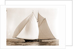 Constellation (Schooner), 1892 by Anonymous