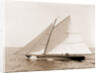 Drusilla, August 4, 1892, Drusilla (Sloop), 1892 by Anonymous