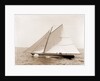 Drusilla, August 4, 1892, Drusilla (Sloop), 1892 by Anonymous