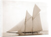 Alcaea (Schooner), 1892 by Anonymous