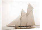Alcaea (Schooner), 1892 by Anonymous