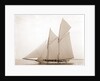 Alcaea (Schooner), 1892 by Anonymous