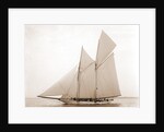 Alcaea (Schooner), 1892 by Anonymous